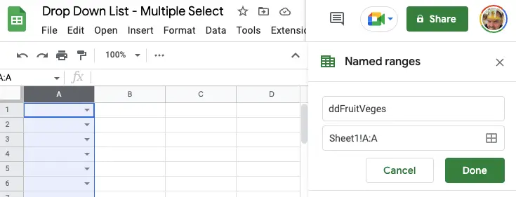Data validation fields highlighted and Named Ranges option displayed giving the highlighted cells a named range of "ddFruitVeges"